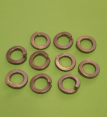 M10 Spring Washer Stainless (10 Pack)